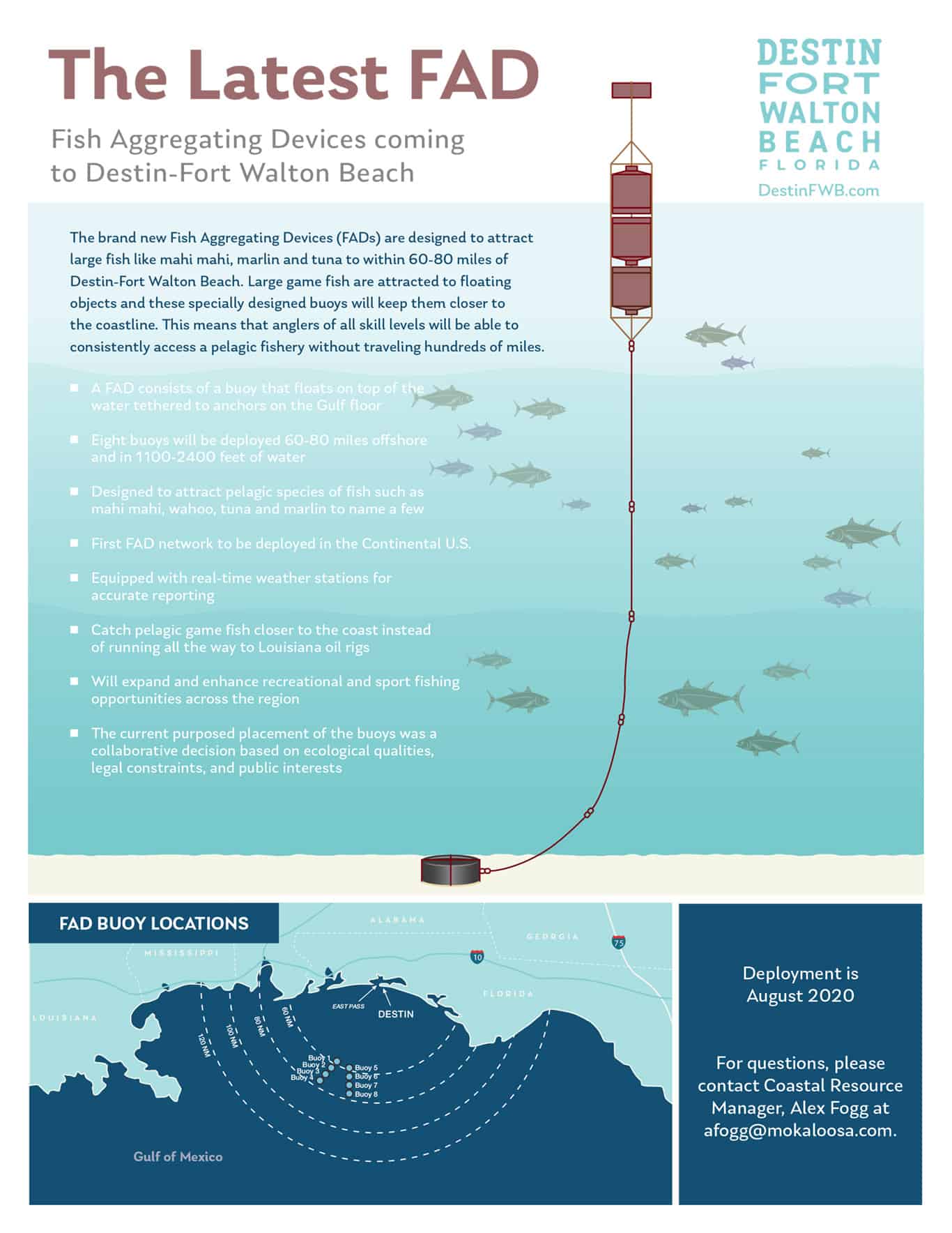 Fish Aggregating Devices - When Fishing is More Than a FAD